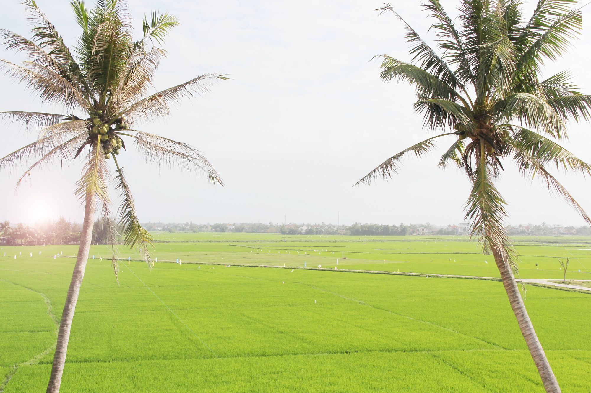 Hoi An Four Season Villa ภายนอก รูปภาพ